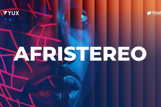 What does AI know about africans?