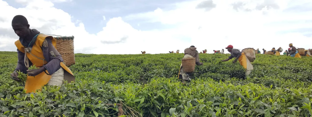 Driving Agricultural Fintech in Rwanda: A GSMA & Airtel UX Partnership