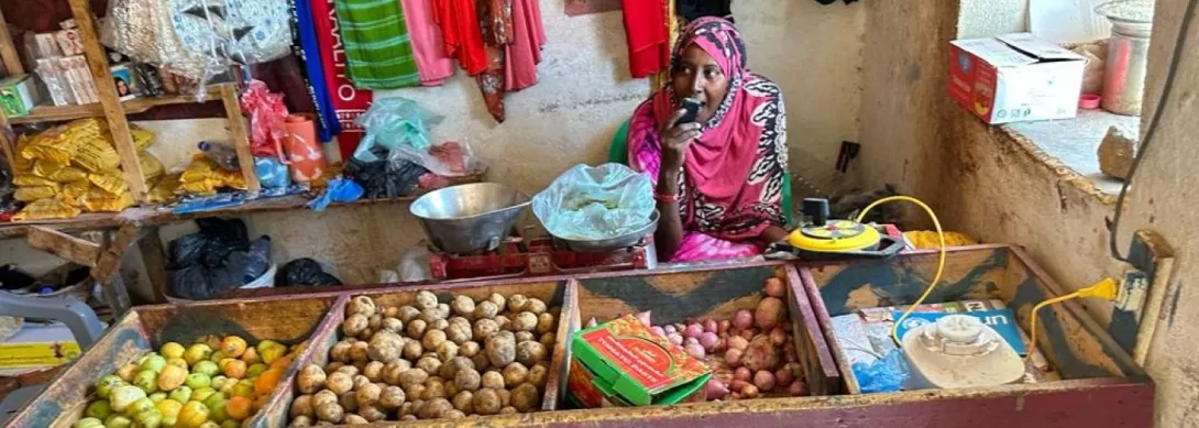 Market Support According to Vendors: Learning from a Participatory Design Process in Puntland