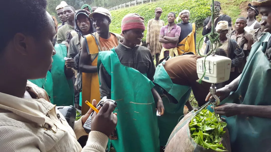 User Experience Design for Fintech in Africa